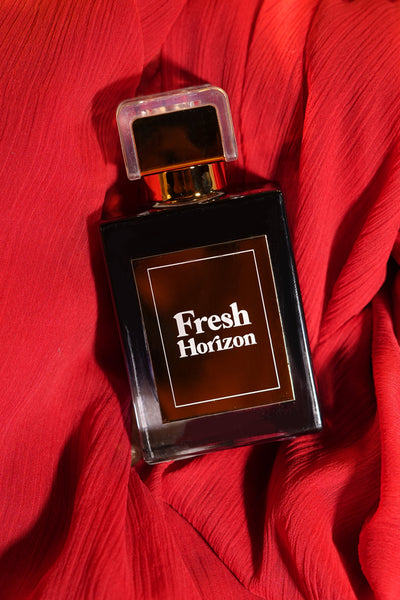 Fresh Horizon 100ML - Perfume By Scents and Tales